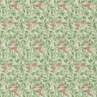 Olive Pink