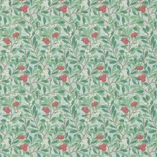 Thyme Coral