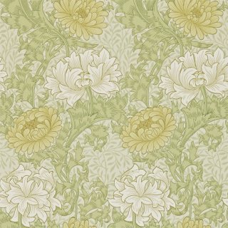 Pale Olive