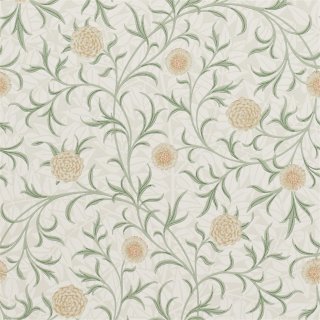 Thyme Pear