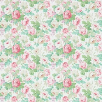 Pink Celadon