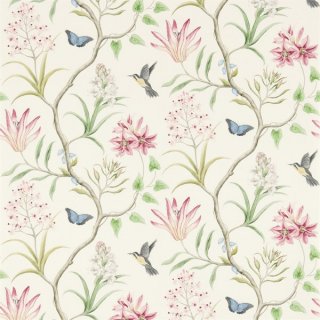 Chintz