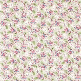 Wild Rose