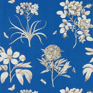 French Blue