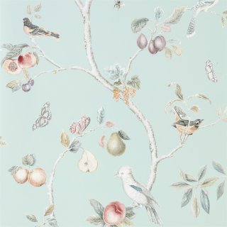 Duck Egg Multi