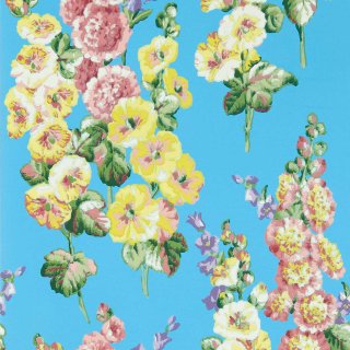 Fire Pink Bright Blue