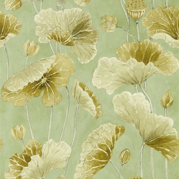 OrientalGreen Olive