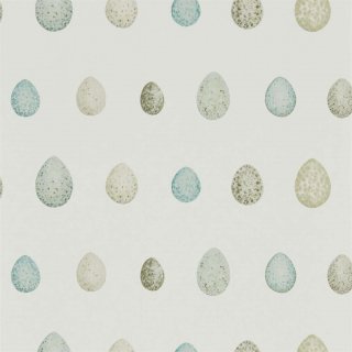 Eggshell Ivory