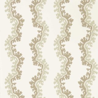 Birch