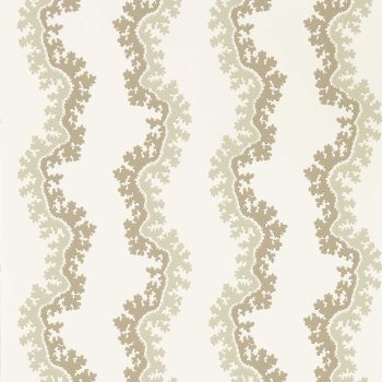 Birch