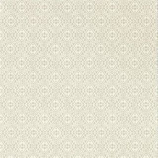 Dove
