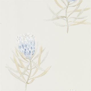 China Blue Canvas