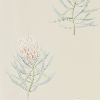 Russet Cream