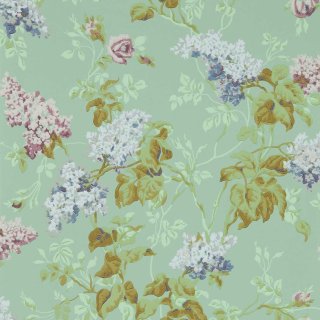 Mint Plum