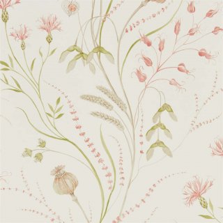 Claret Olive