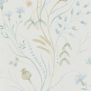 Cornflower Wheat