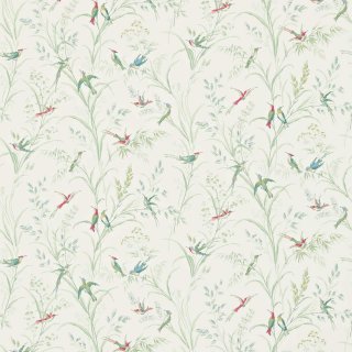 Willow Multi