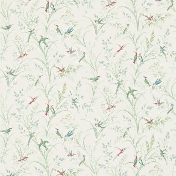 Willow Multi